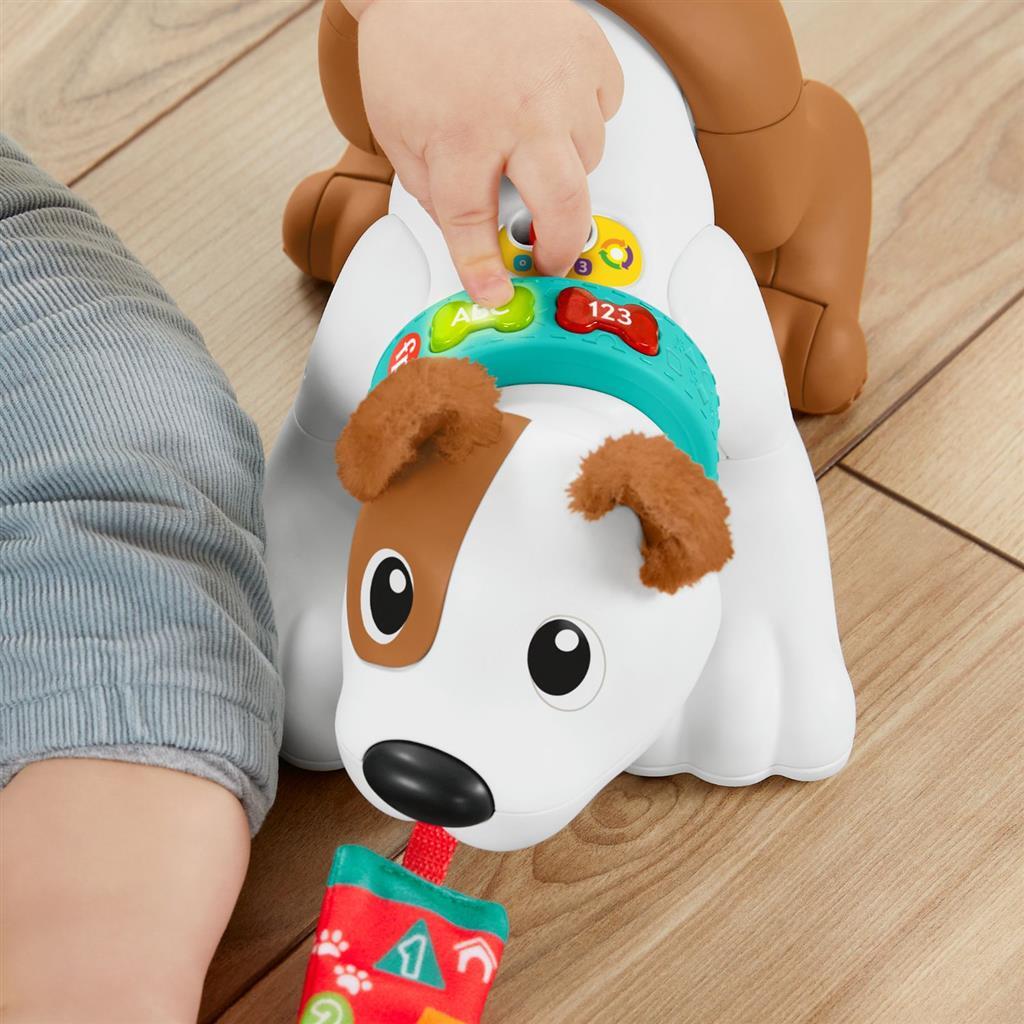 Fisher Price Crawl With Me Welpe + Licht und Ton