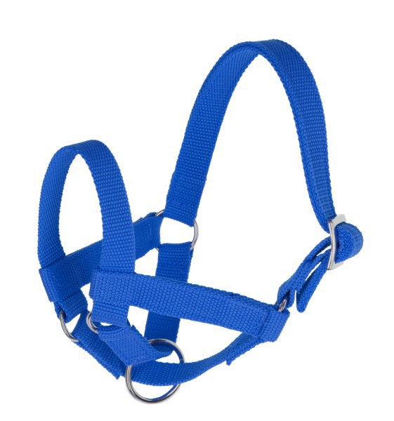 Lamahalfter blau gr 50