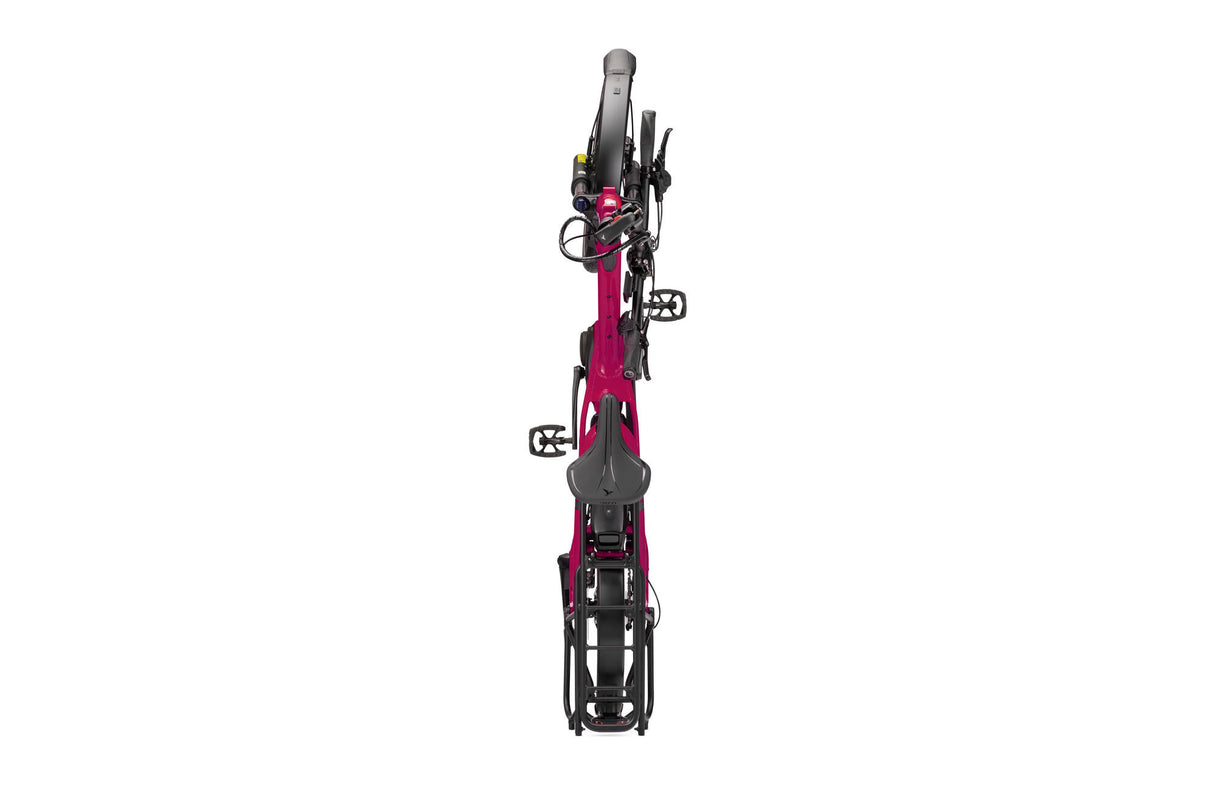 Tern Elektro-Kompaktfahrrad HSD P10 (#1) E-Bike HSD P10 10SP Drogonfruit