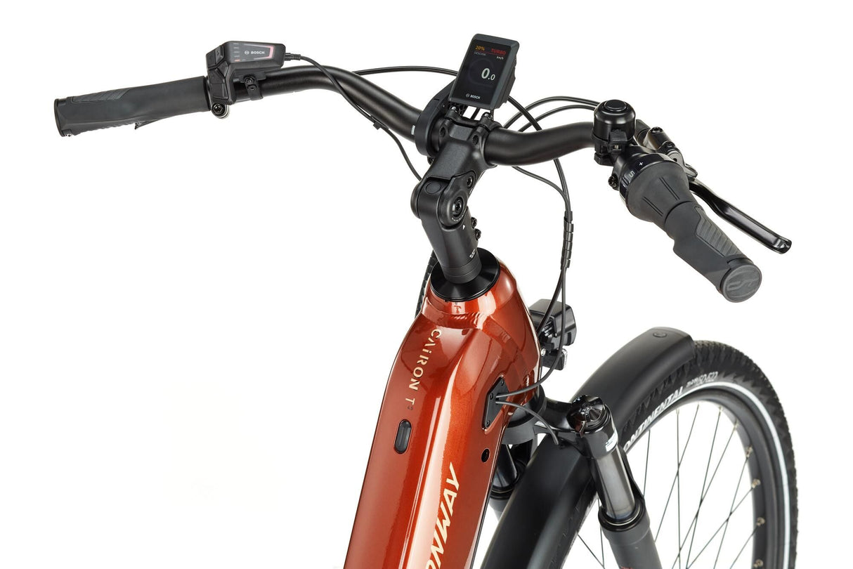 Conway Elektro-Trekkingrad Cairon T 4,5 (#1) E-Bike Conw.Cairon T 4,5 28 50 5Sp verrostet