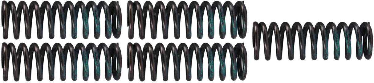 TRW Kupplungsfedersatz Kupplungsfedersatz mef319-5