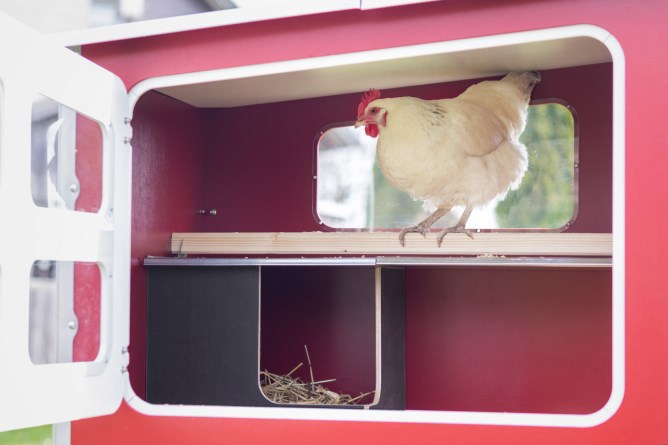 Abi mobilecoop Hühnerstall aus Holz