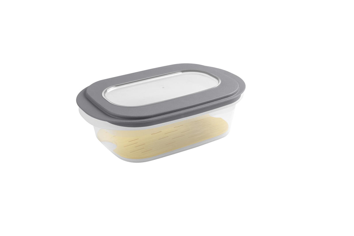 Sunware Käsebox mit Tablett transp. grau
