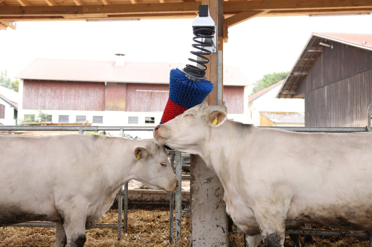 Happycow Rinderbürste Flexiswing