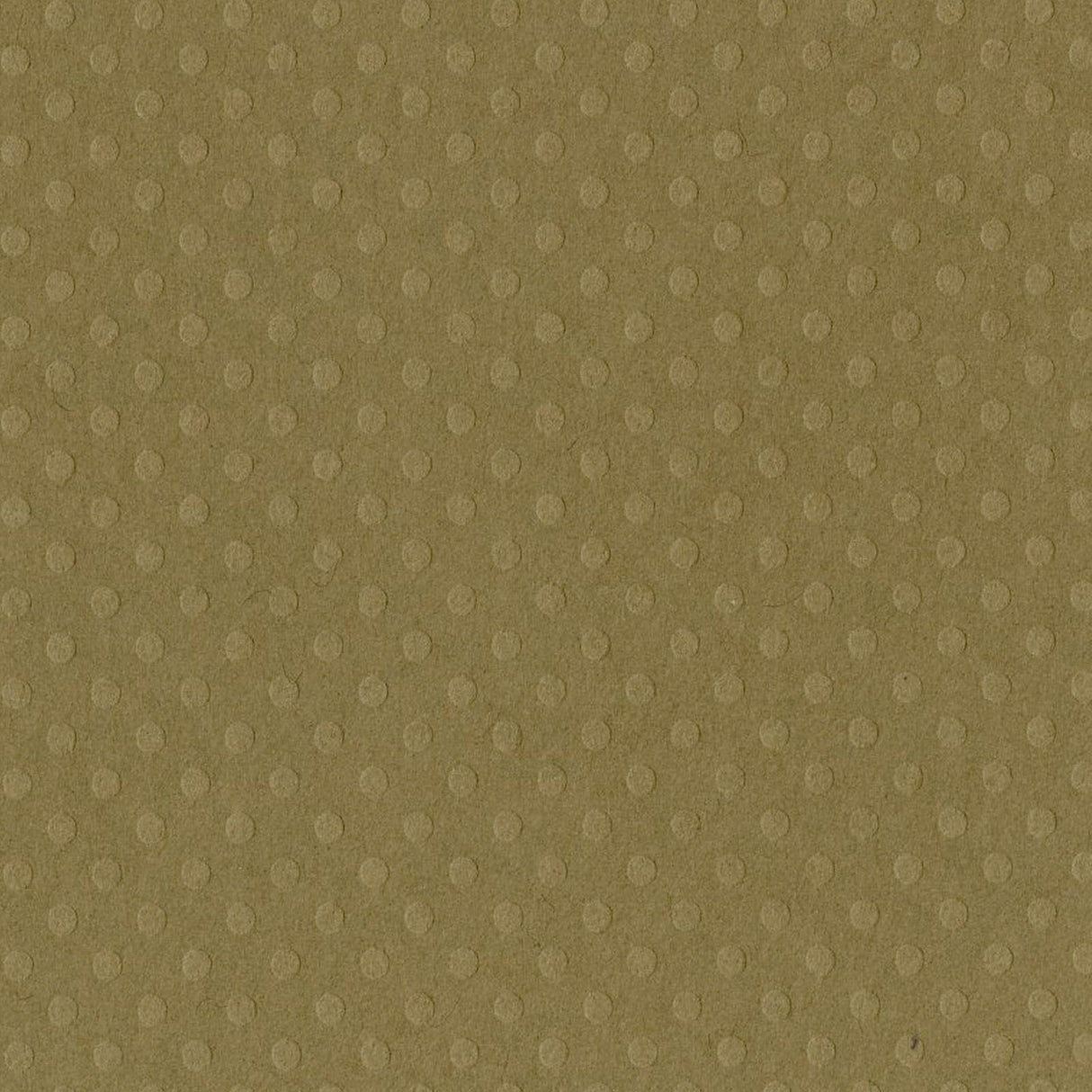 Bazzill • Dot Swiss 30,5x30,5cm Schlammpfütze
