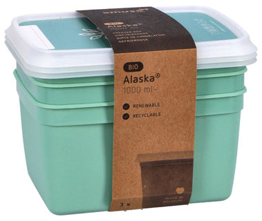 DBP Alaska Gefrierboxen rechteckig 1l 3 Stück Mintgrün