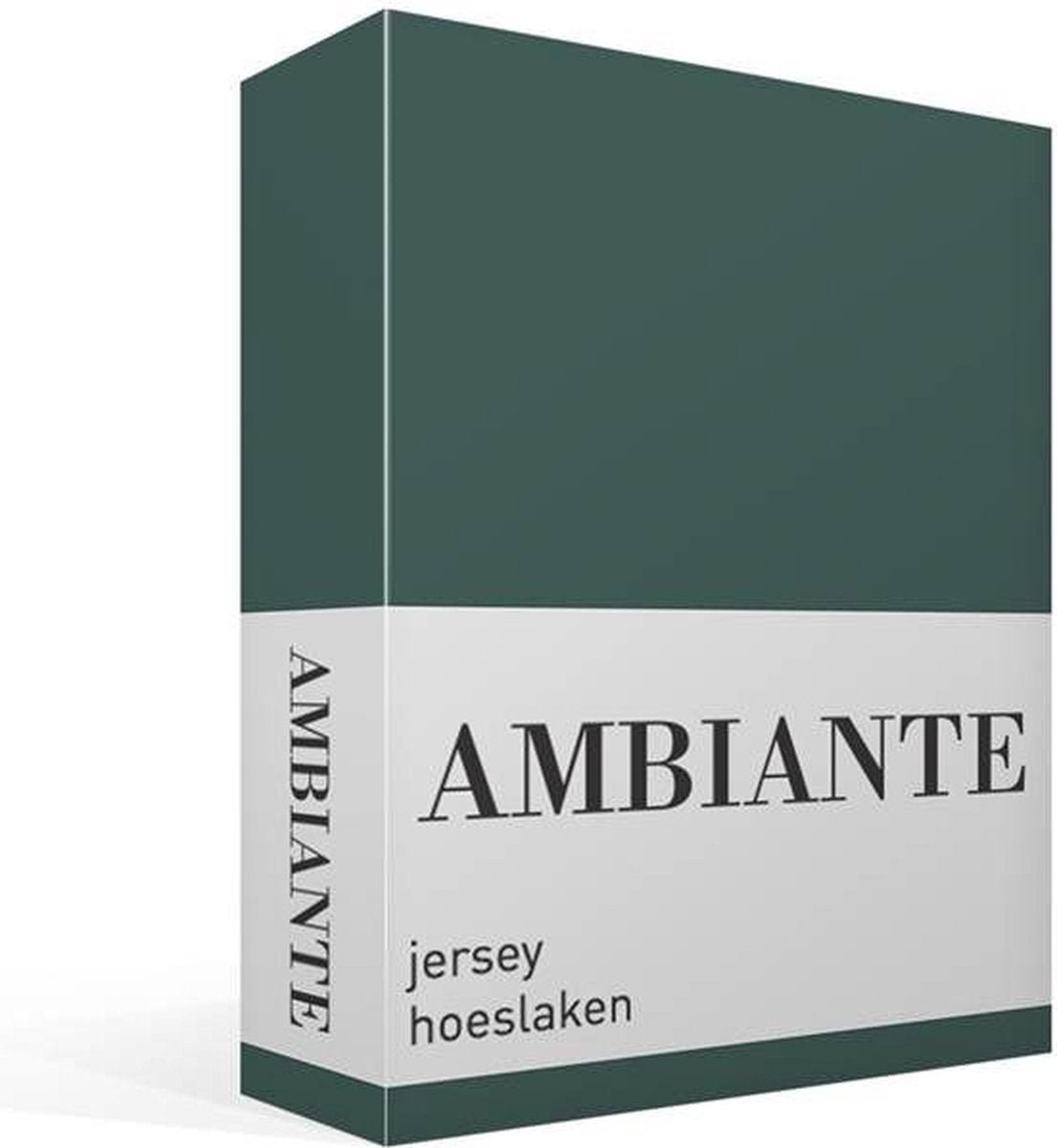 Ambiante jersey hoeslaken - lits-jumeaux - dark green
