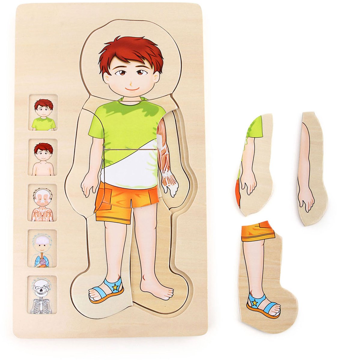 Kleiner Fußhölzer Körper Puzzle Junge, 29.