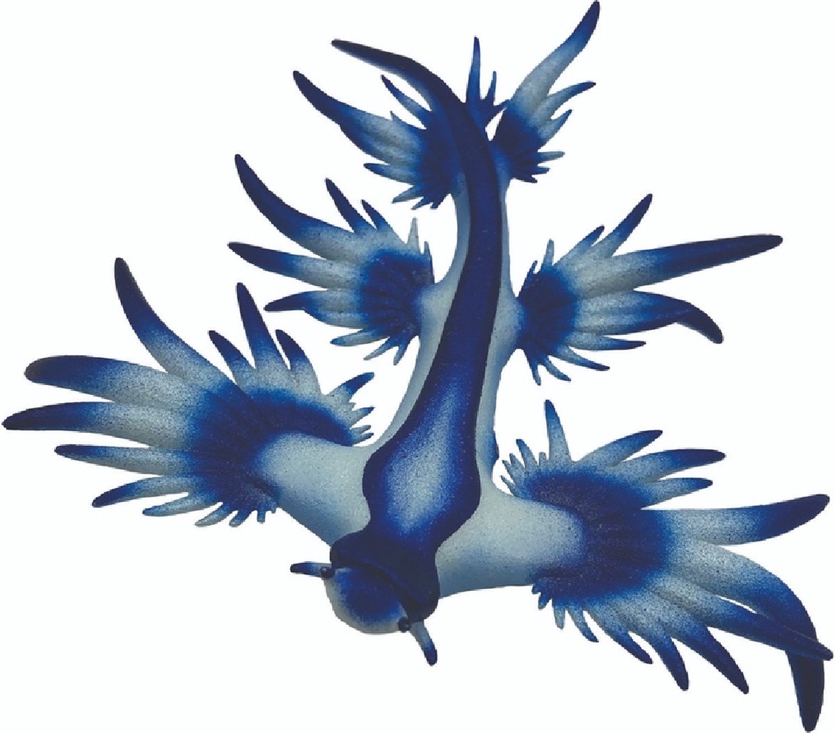 Bullyland blaue Meeresschnecke_x000d_ (67511)
