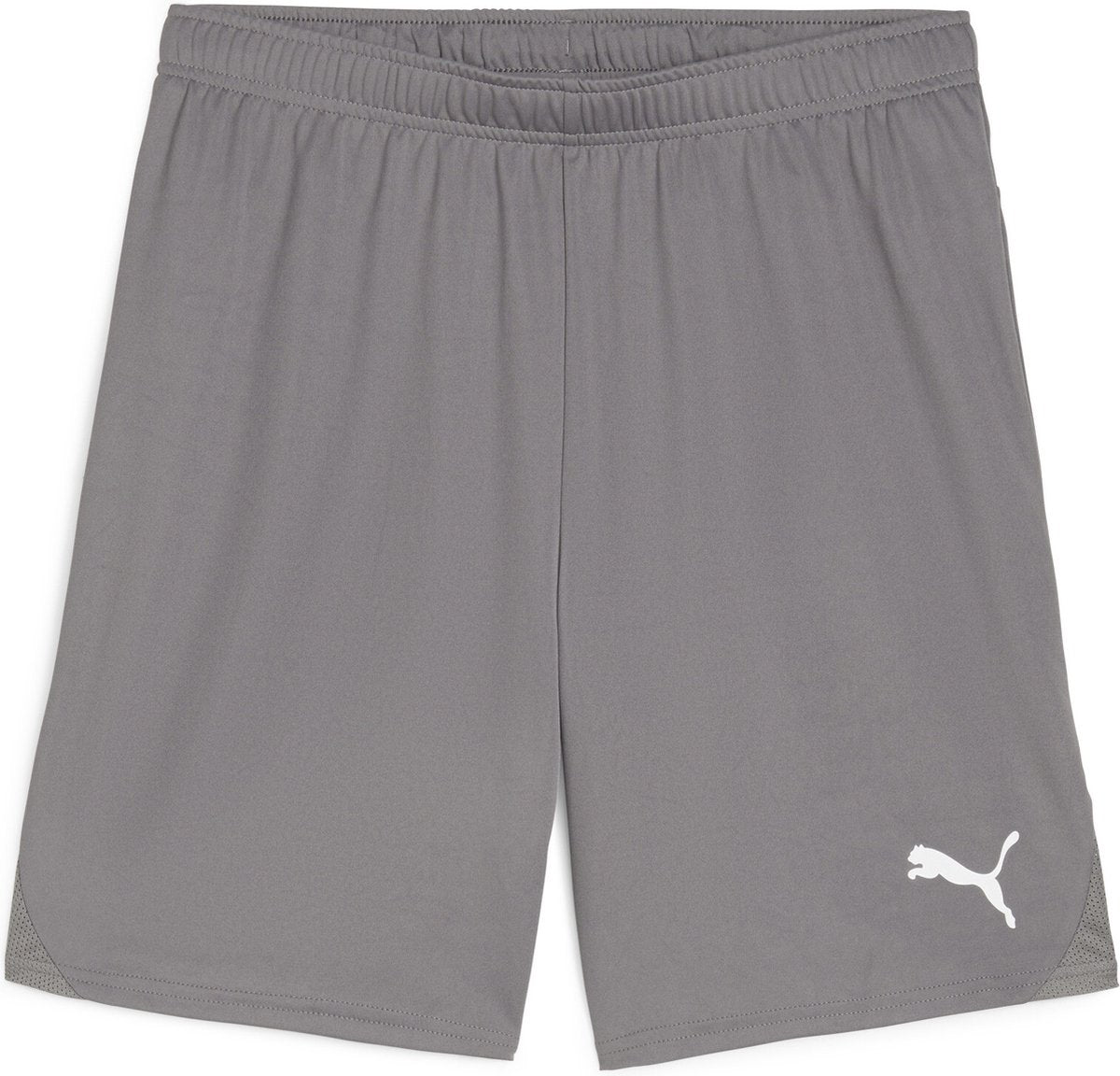 Puma Teamgoal Shorts Herren Sporthose – Gusseisen – Weiß