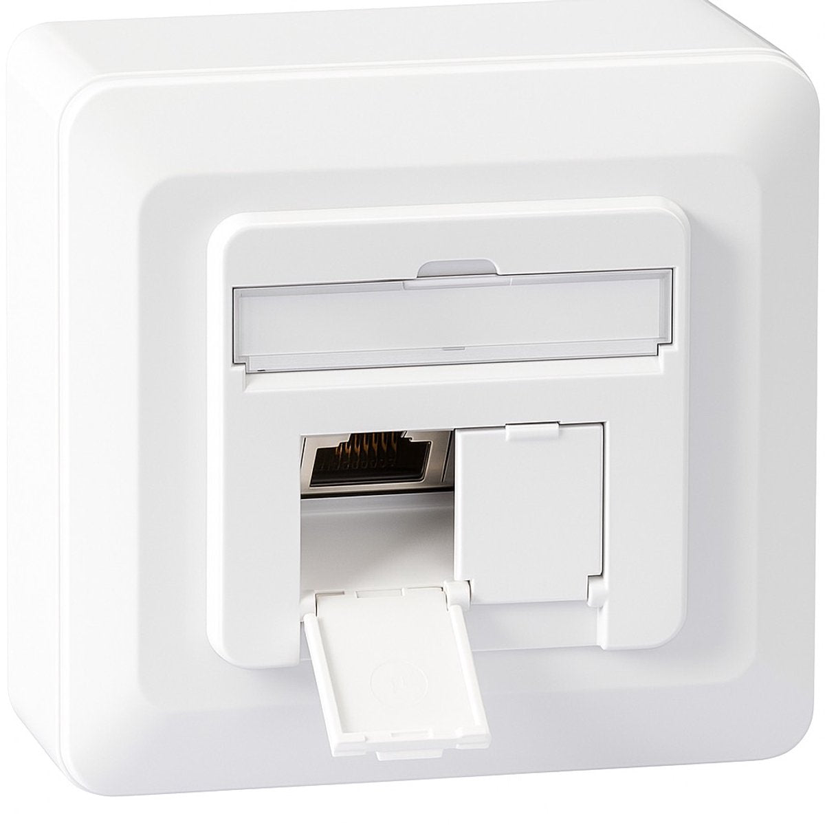 EFB Elektronik ET-25133AV5-R Netzwerkdose Aufputz (auf Wand), Unterputz (Unterputz) Cat 6A 2 Ports reinweiß (RAL 9010)