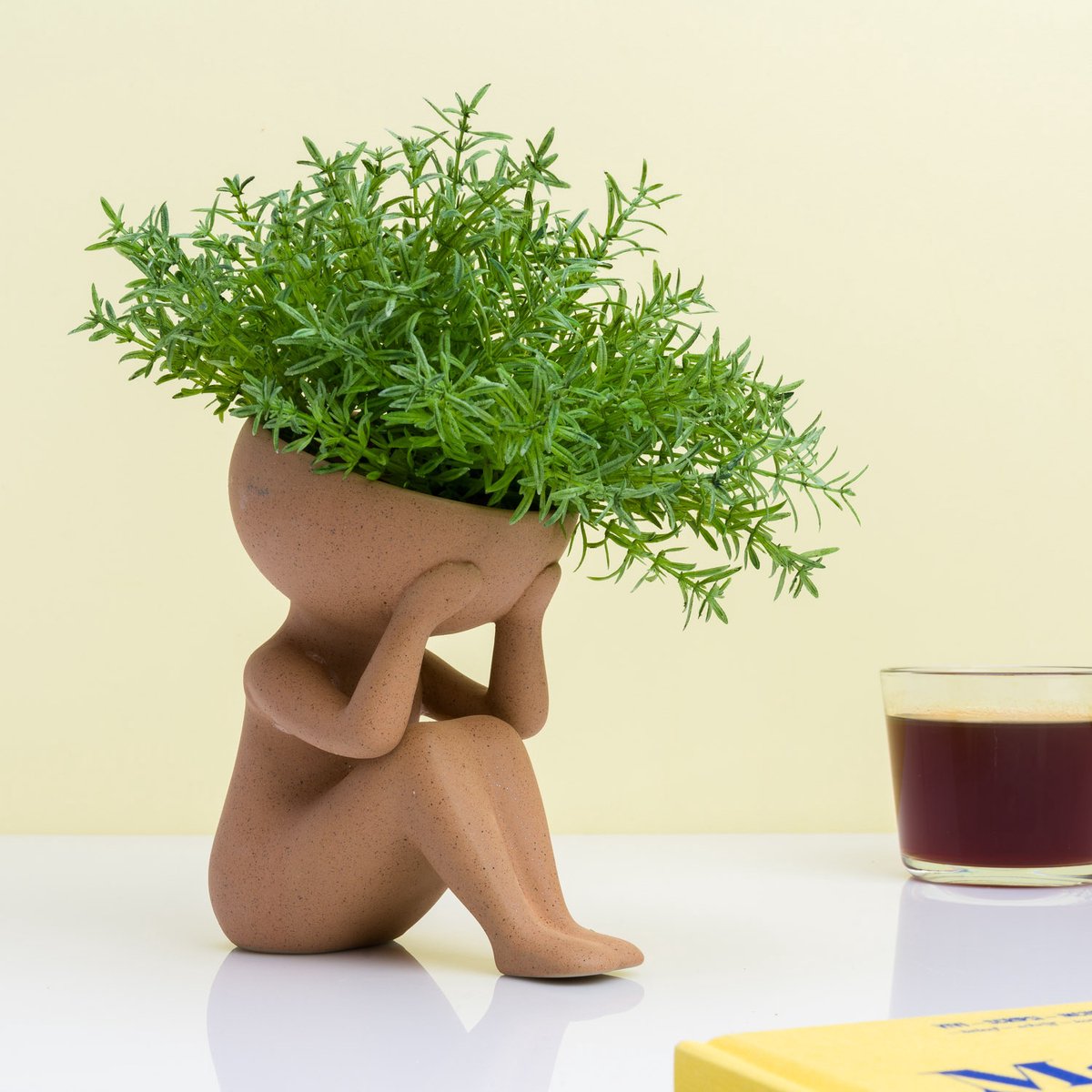 Winkee-Pflanzen in meinem Hauptblumentopf
