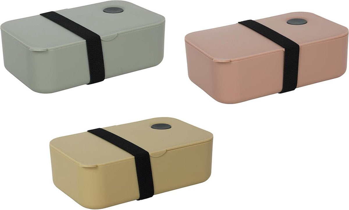No Brand Lunchbox 19,5x11,5x6,5cm sortiert | 3 Stück