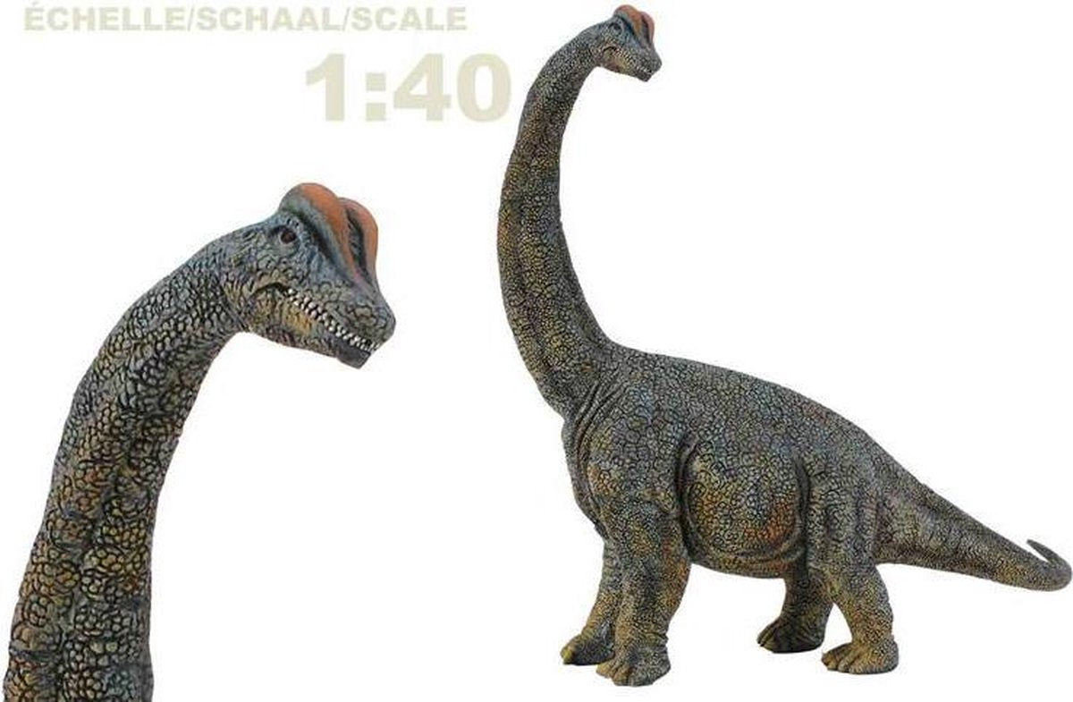 Collecta Figur - Brachiosaurus - 1:40 - Vorgeschichte - handbemalt - Dinosaurier - Miniatur