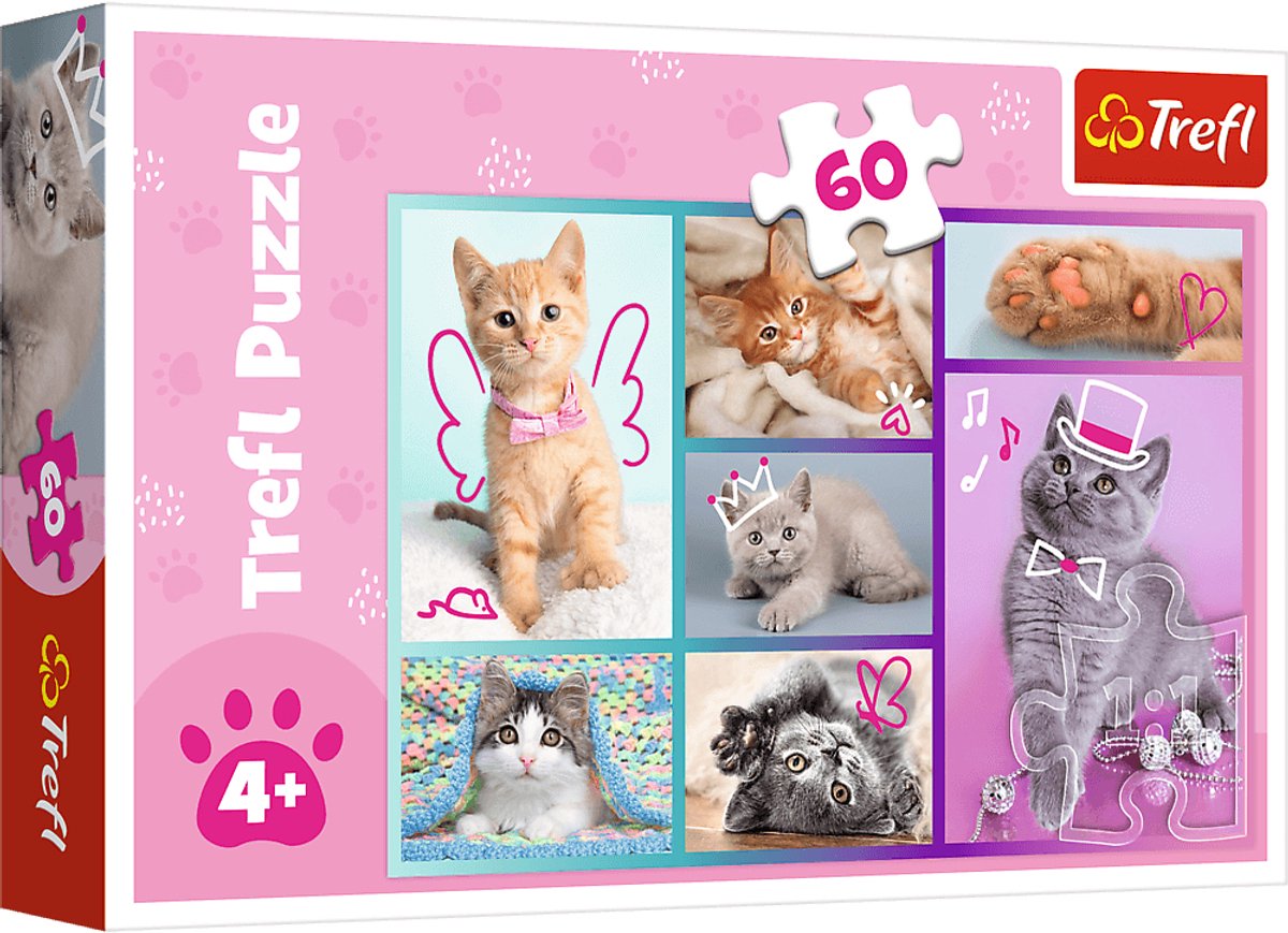 Trefl-Puzzle – süße Katzen – 60 Teile – bunter Karton.