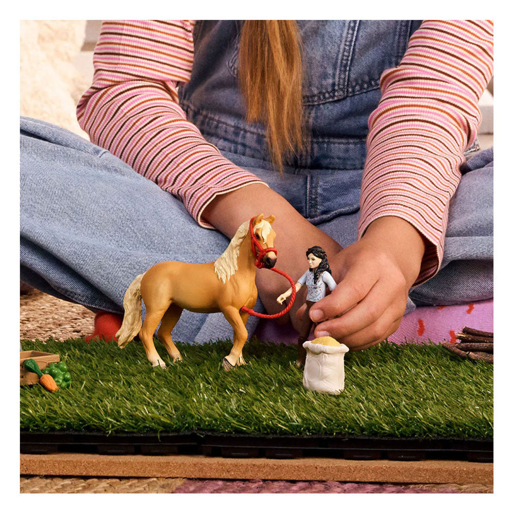 Schleich Horse Club Emliy's Pflegeset 42797