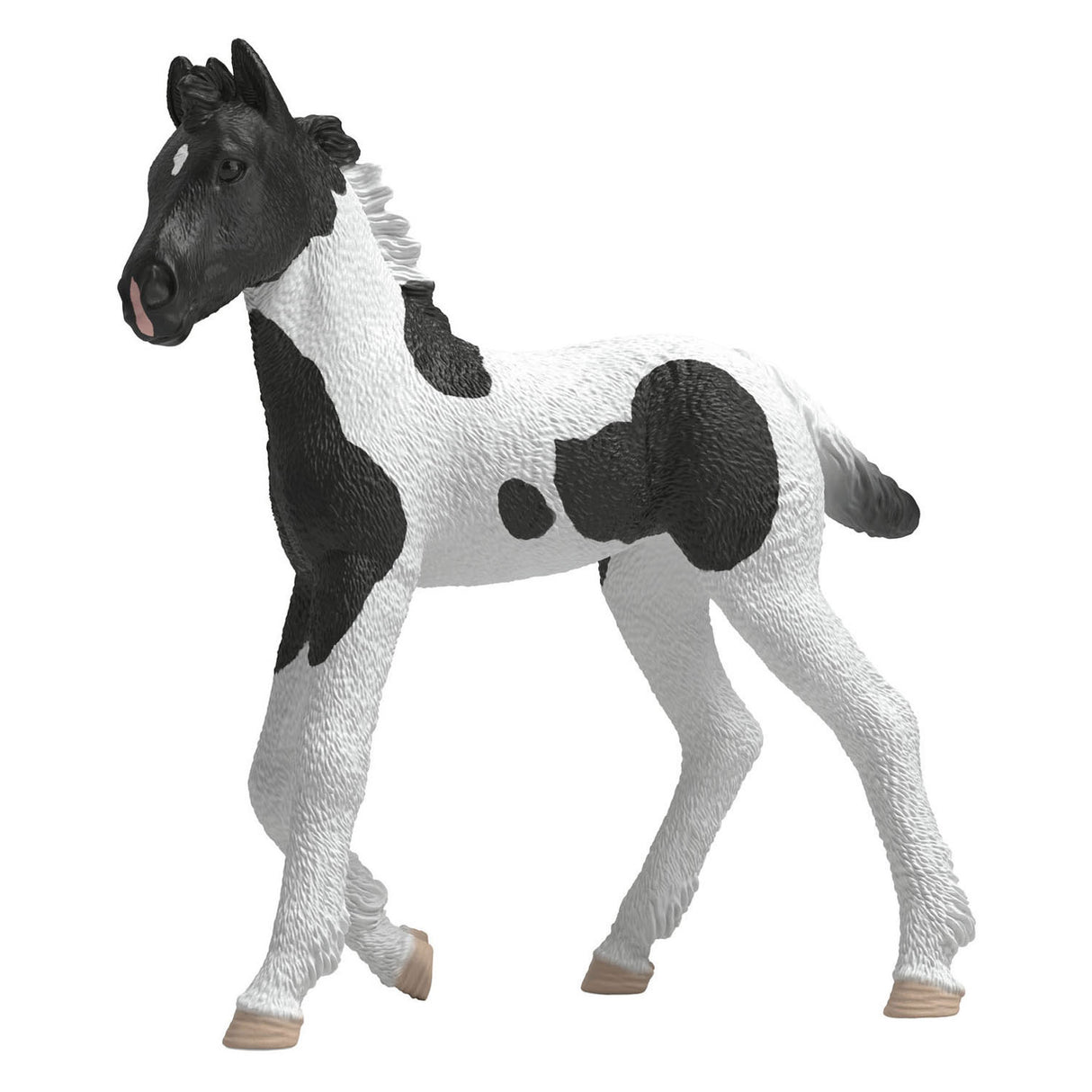 Schleich Horse Club Sammlerfohlen Rocky 81481