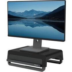 Monitorständer Fellowes 100016560 schwarz 15000 g
