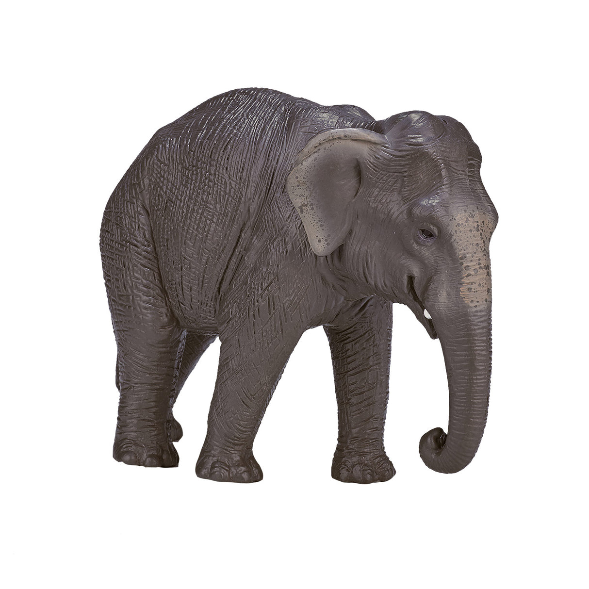 Mojo Wildlife Asiatischer Elefant – 387266