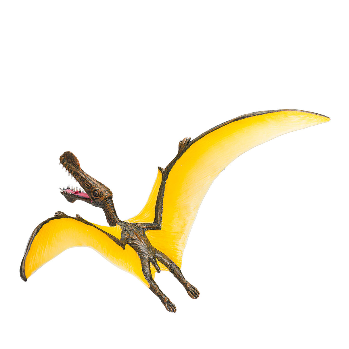 Mojo-Vorgeschichte Tropeognathus - 387375