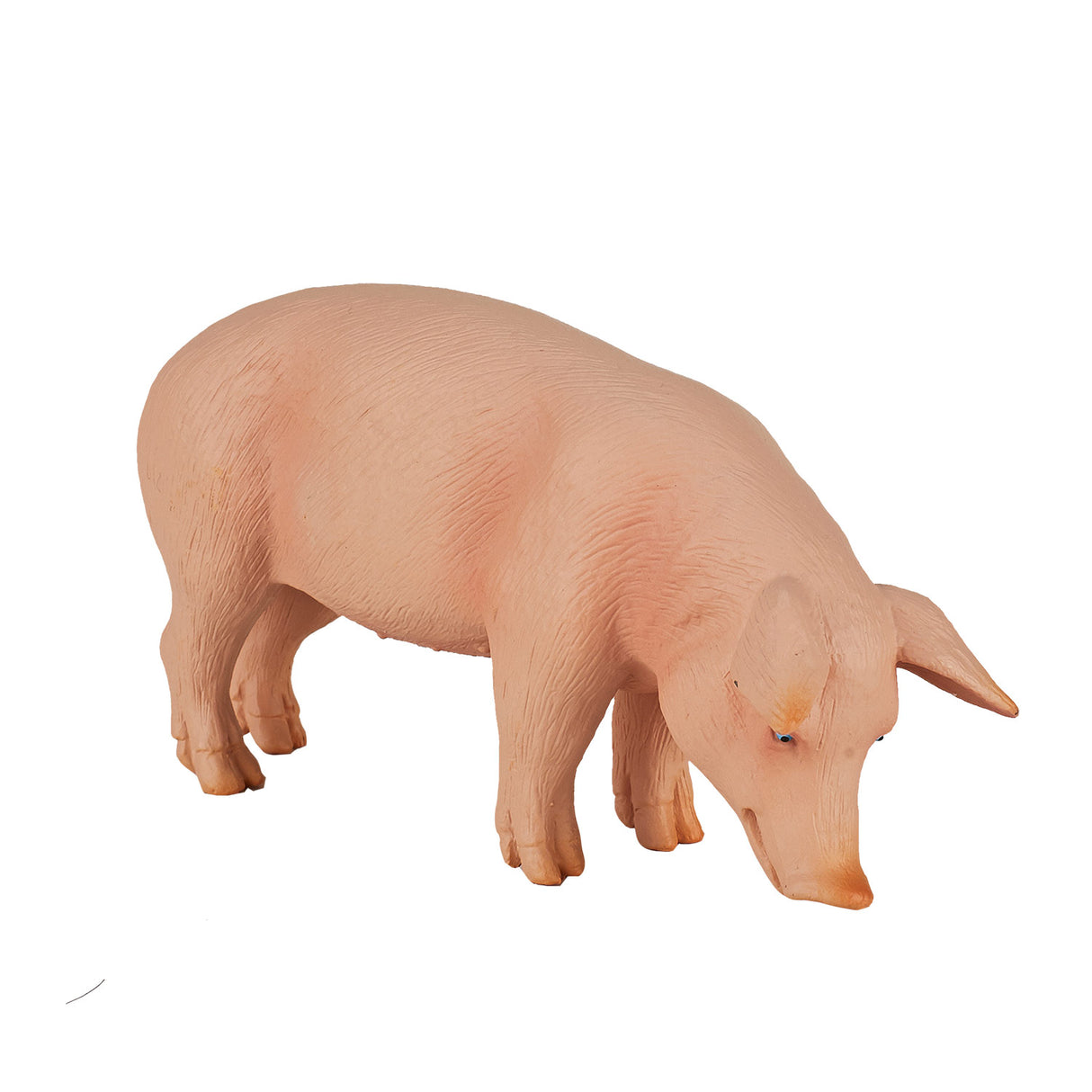 Mojo Ackerlandschwein Eber – 387080