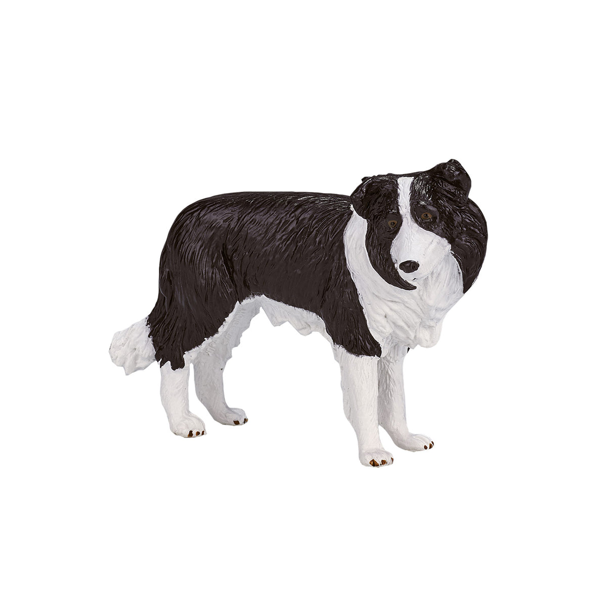 Mojo Ackerland Border Collie – 387203