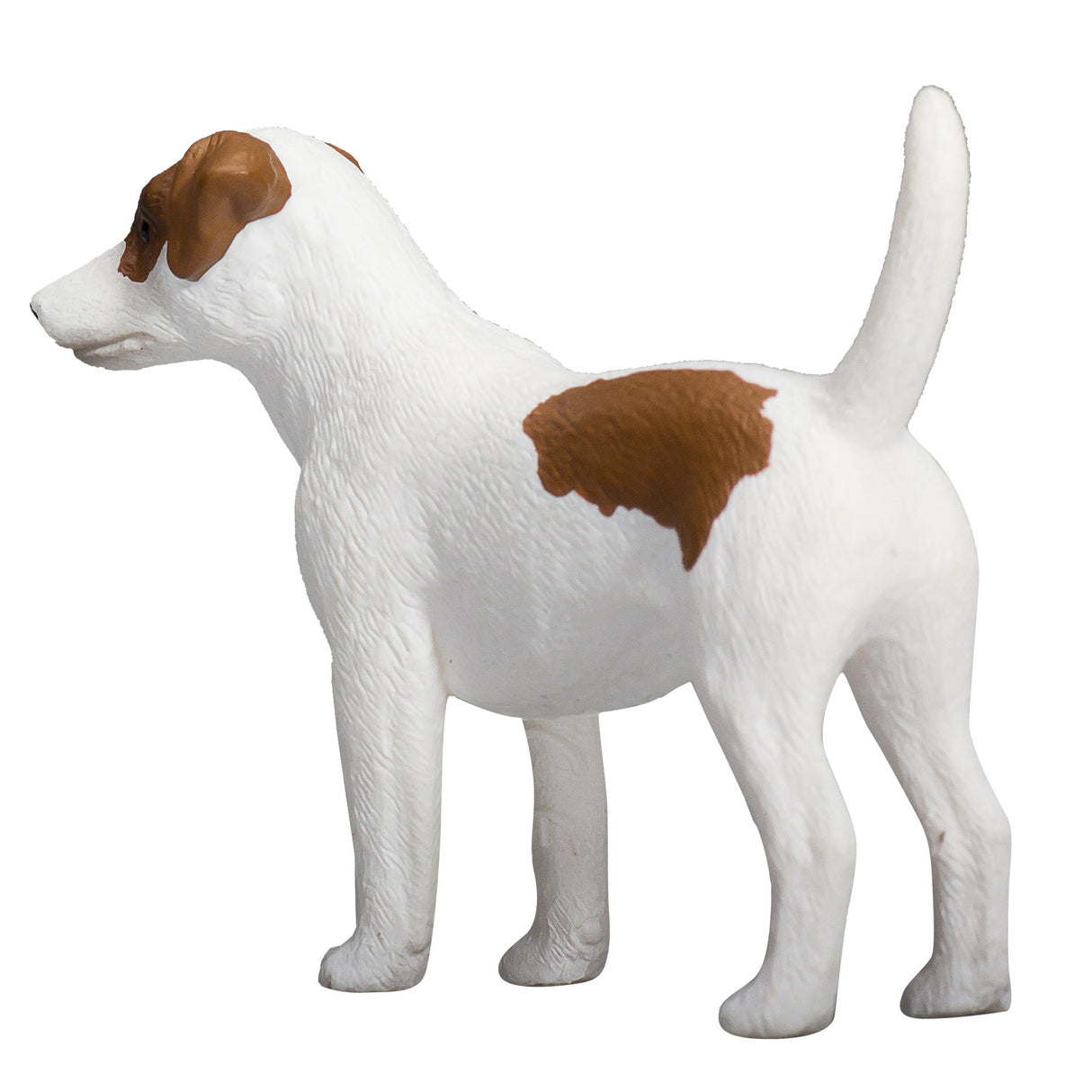 Mojo Ackerland Jack Russell Terrier – 387286