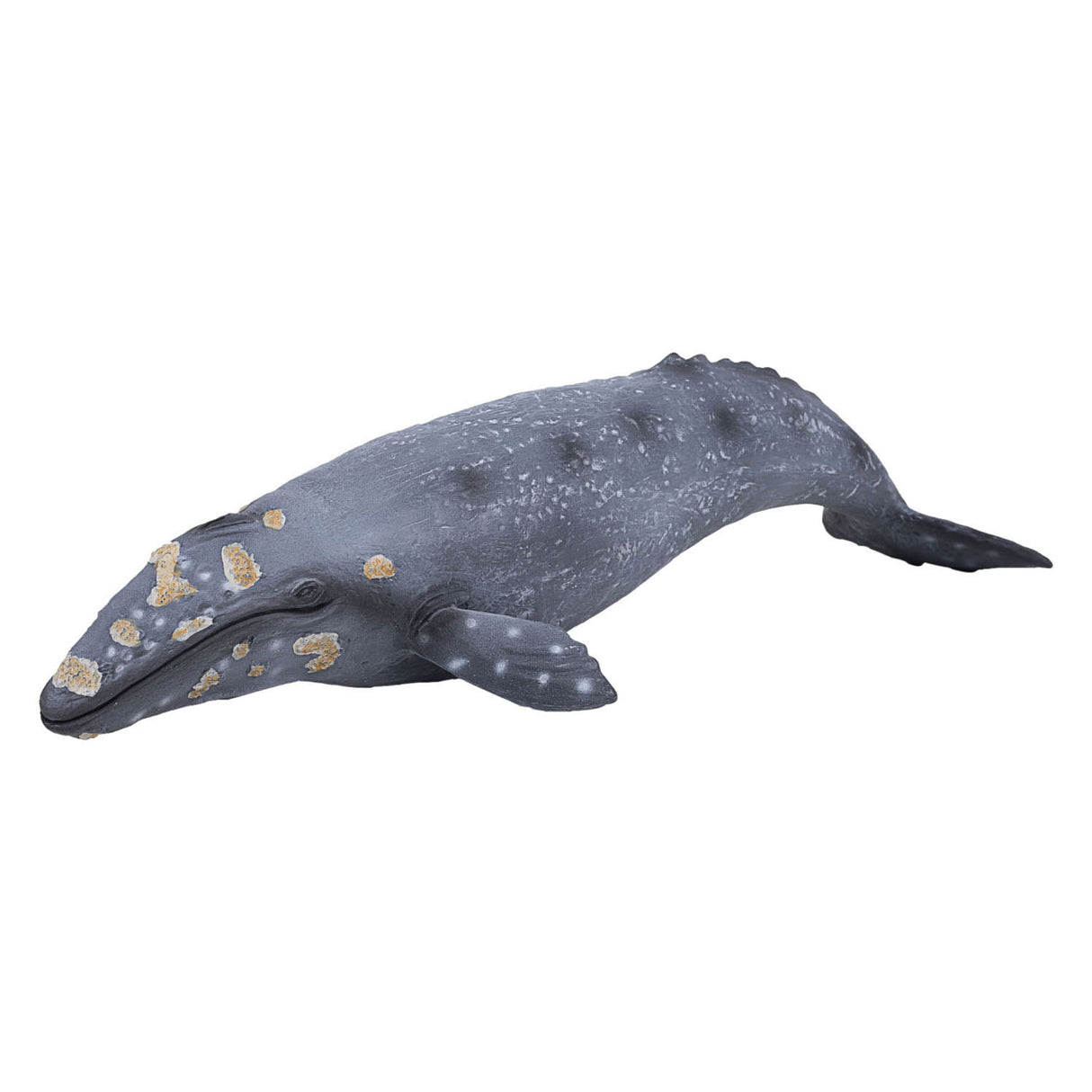 Mojo Sealife - Grauwal 387280