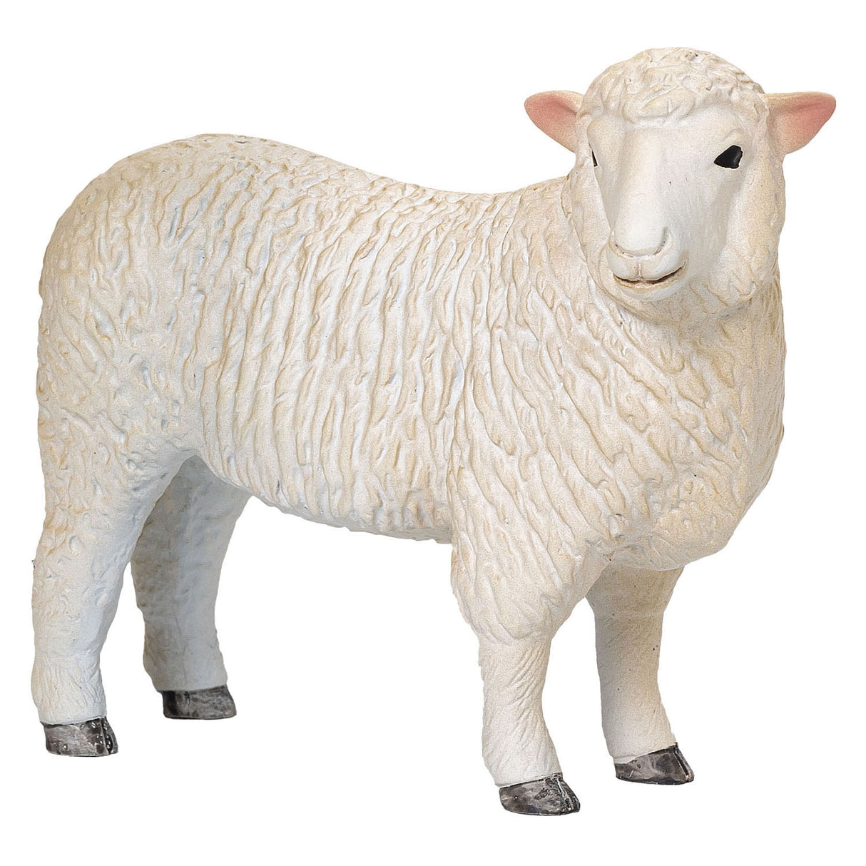 Mojo Ackerland Romney Schaap ooi - 381064