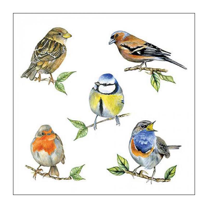 Ambiente Serviette 33 Vogelarten weiß