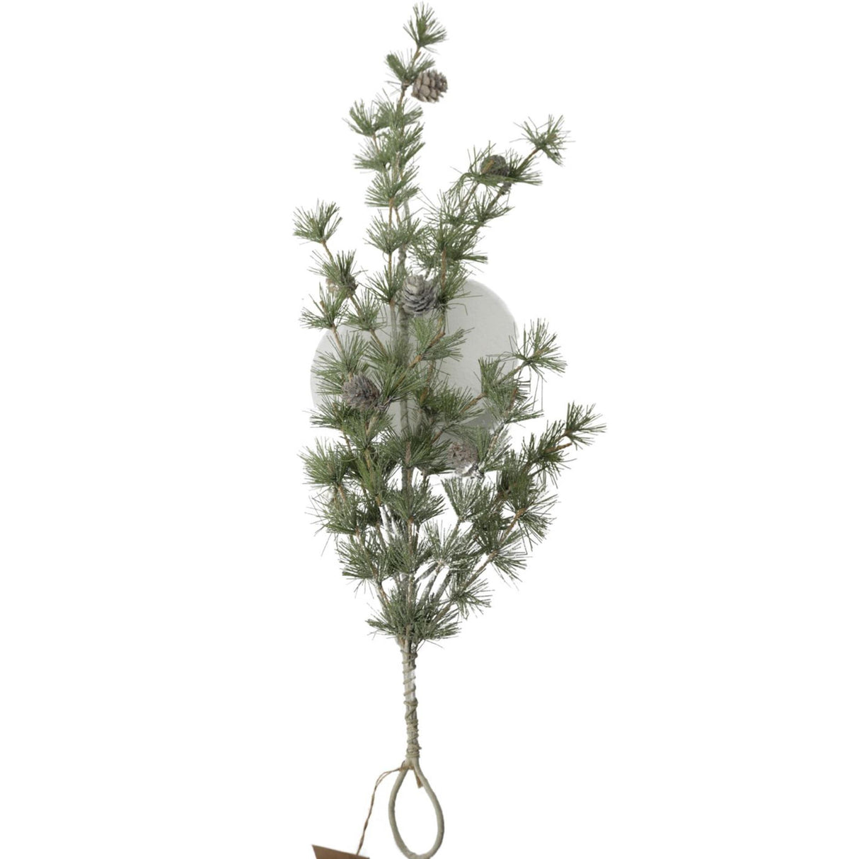Dijk natural collections dennentak 62x25x9cm groen dennentak 62x25x9cm groen