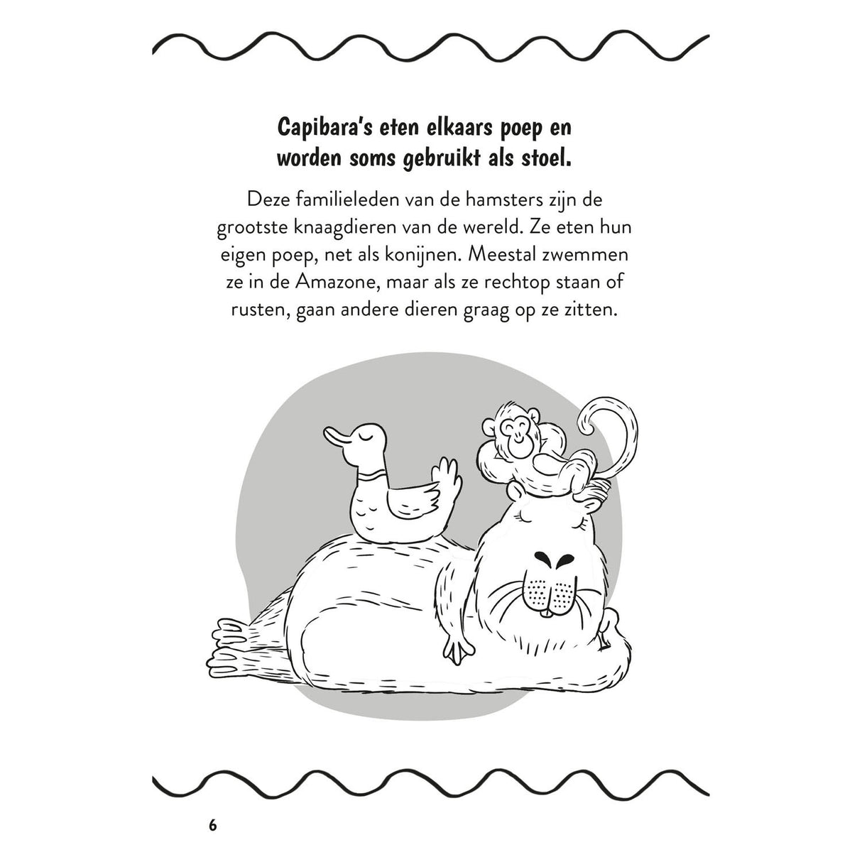 Deltas verrückte Fakten für Kinder ab 9 Jahren. Kinderbuch