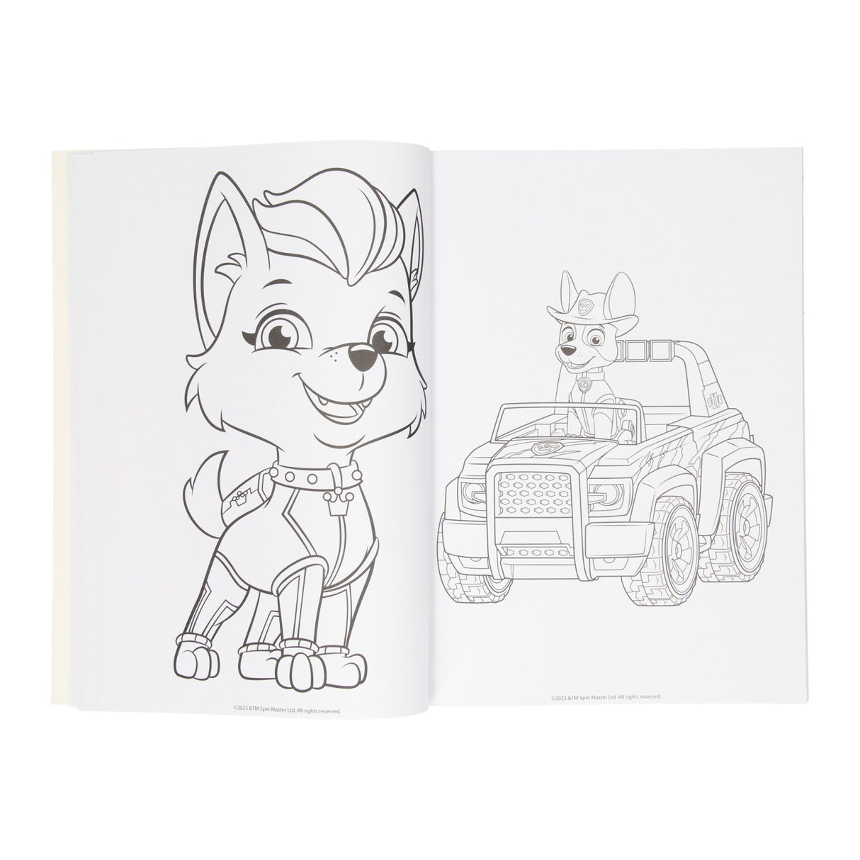 Wins Holland Malbuch Paw Patrol, 128 Seiten.