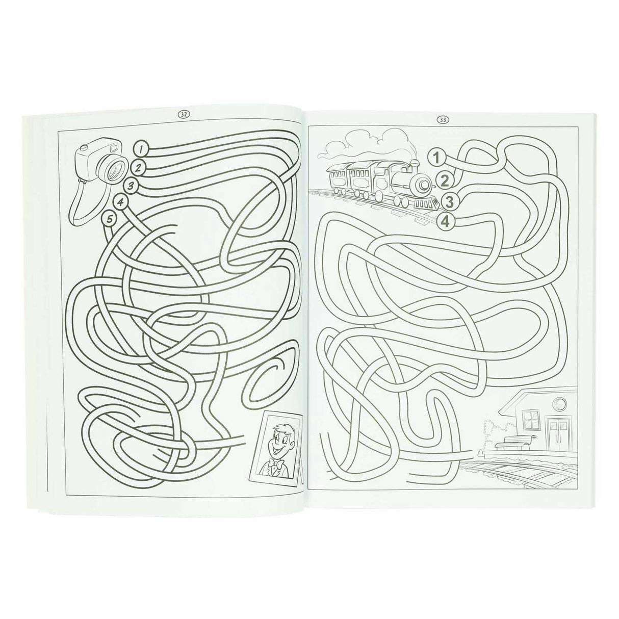 Gewinnt das Holland-Labyrinth-Buch – 115 Labyrinthe