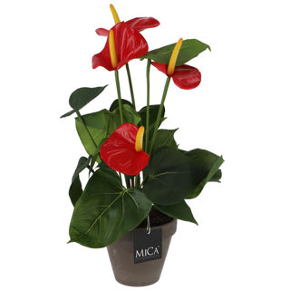 Edelman Kunstpflanze Anthurium rot im Topf