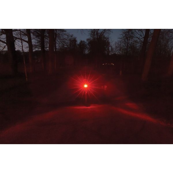 Axa Rücklicht Juno E-Bike 6-12V 80mm