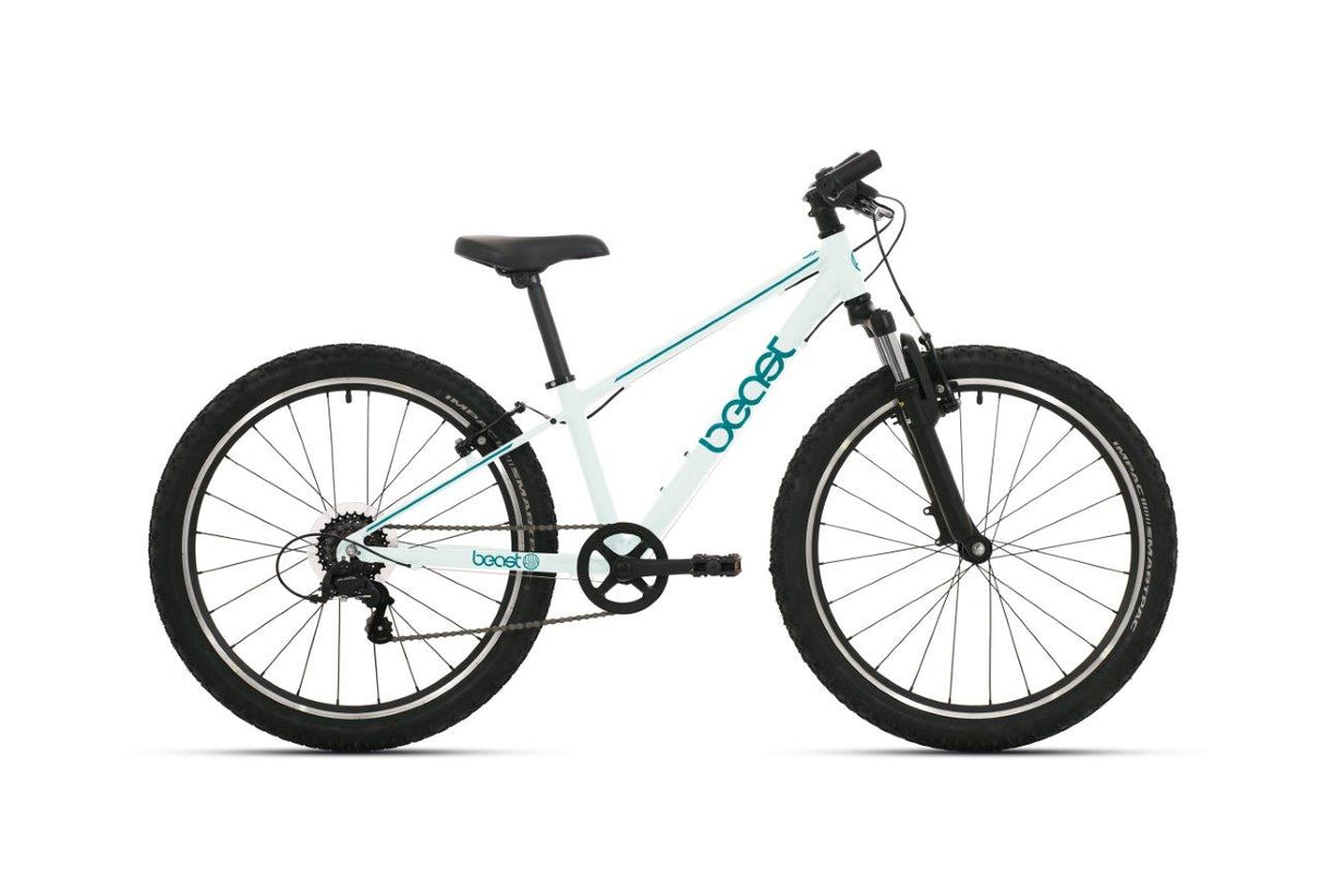 Bikefun Fahrrad 20 das Biest 6v