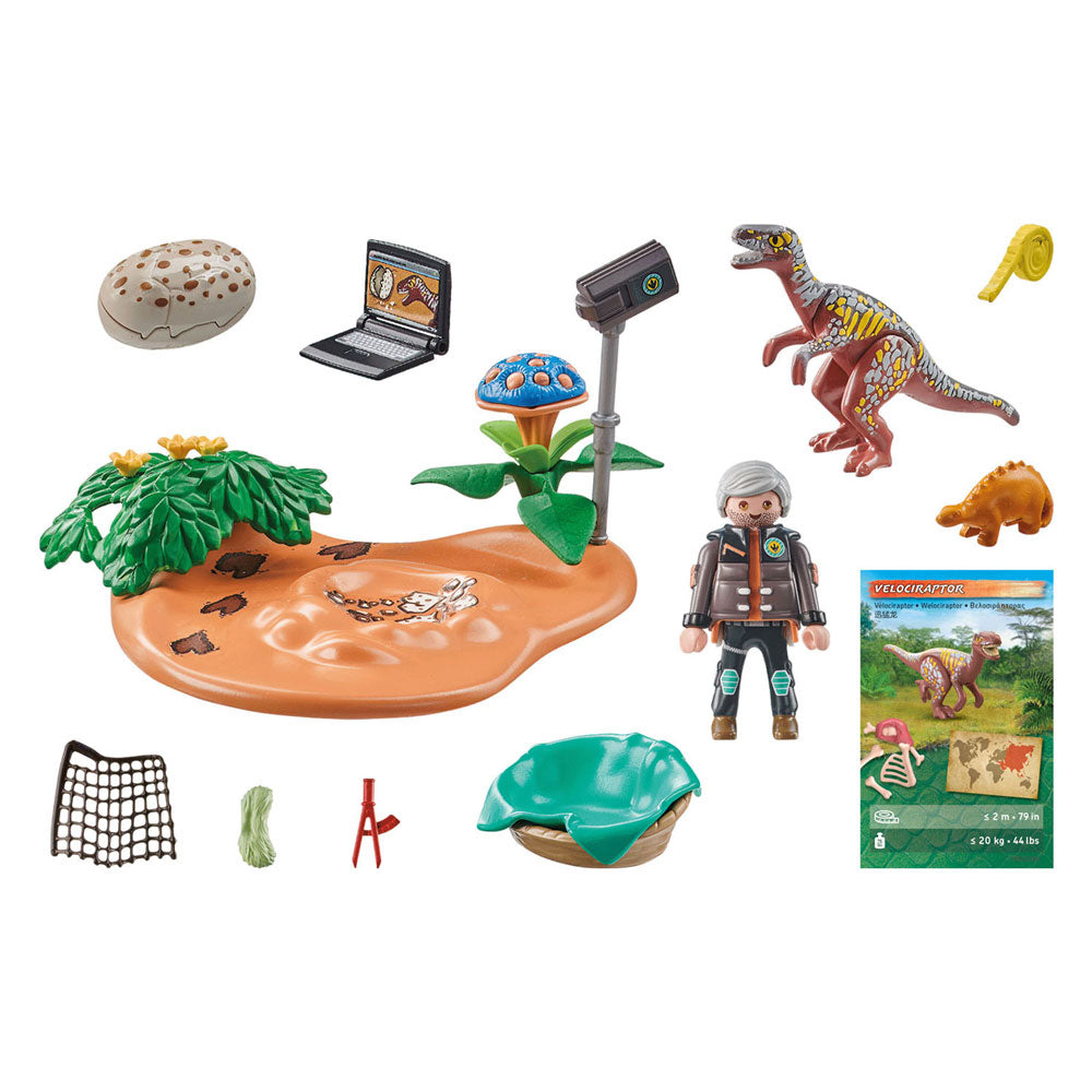 Playmobil Dinos Stegosaurusnest mit Eierdieb 71526