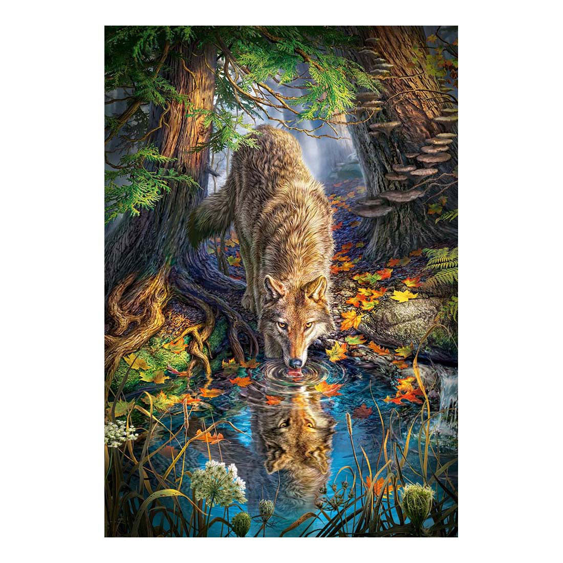 Selecta Castorland Puzzle Wolf in freier Wildbahn, 1500 Teile.