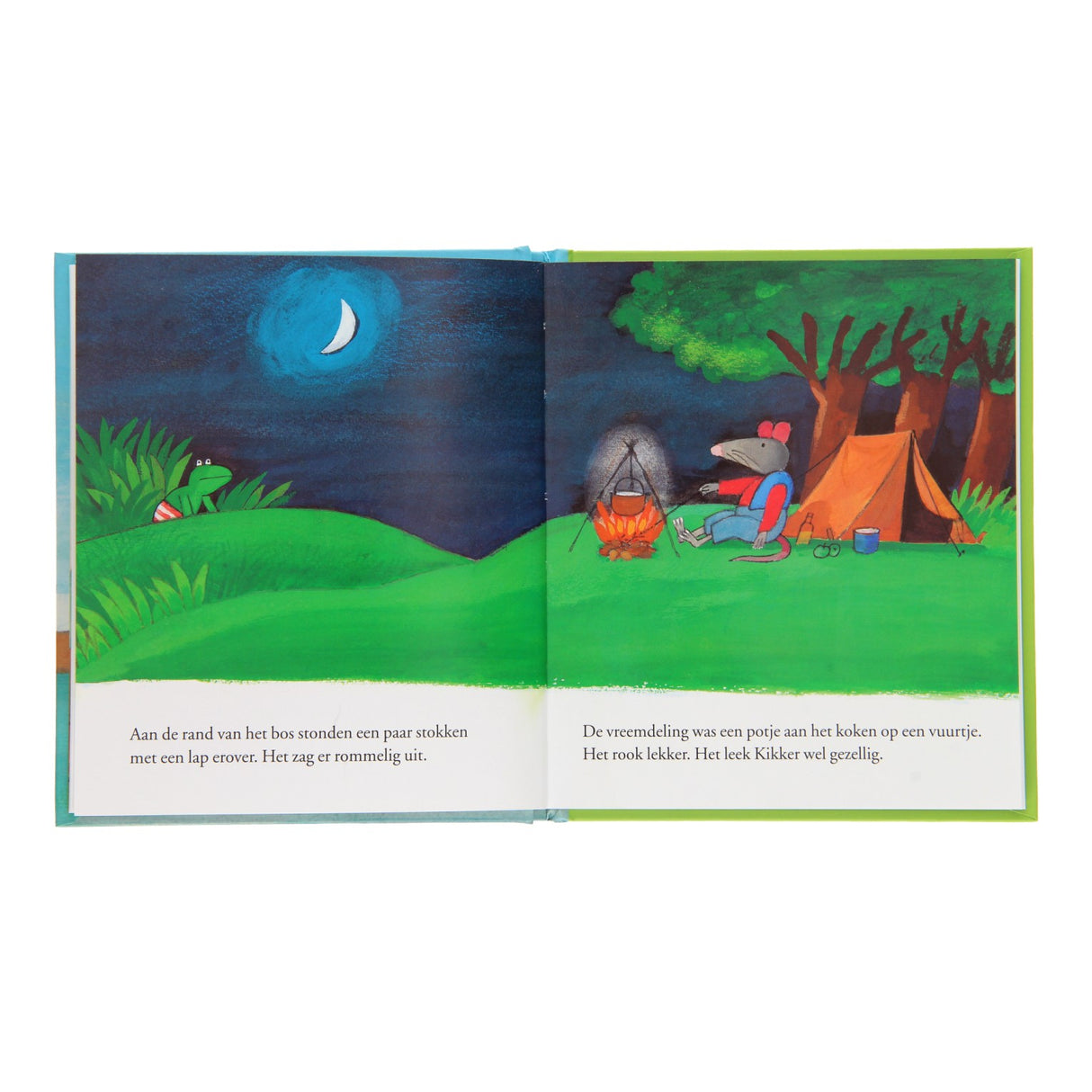 Zentrales Buch Hausfrosch und der Fremde