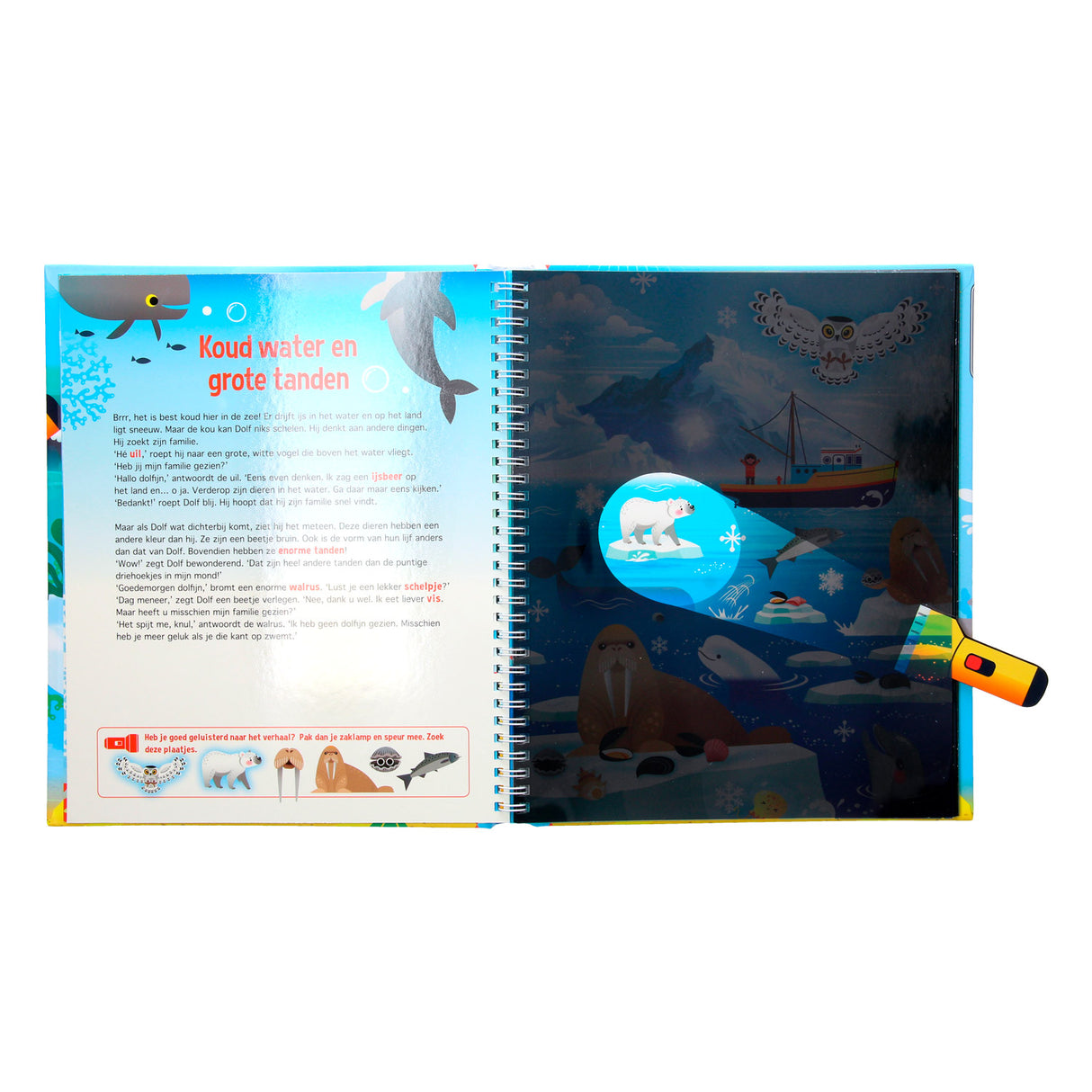 Auf der Suche nach Delfinen + Taschenlampe aus Pappe