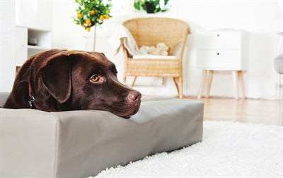 Bia-Bettbezug aus Kunstleder für Hundekörbe, Taupe