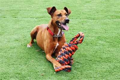 Happy Pet Nuts for Knots Extreme Coil 8 Shape Tugger Grau Orange