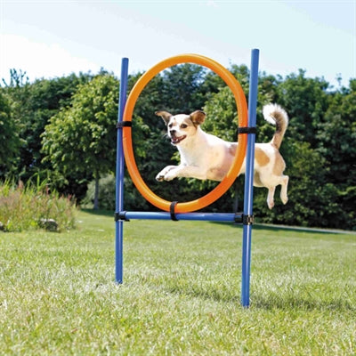 Trixie Hundeaktivitäts-Agility-Ring blau orange