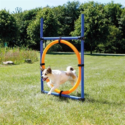 Trixie Hundeaktivitäts-Agility-Ring blau orange