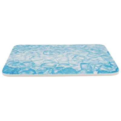 Trixie Kühlplatte für Kleintiere blau