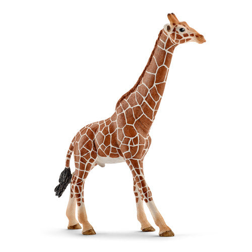 Schleich Wild Life – männliche Giraffe – Spielfigur – Kinderspielzeug für Jungen und Mädchen – 3 bis 8 Jahre – 14749