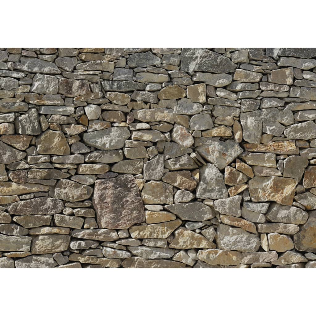 Komar Foto Wallpaper Steinmauer 368x254 cm 8-727