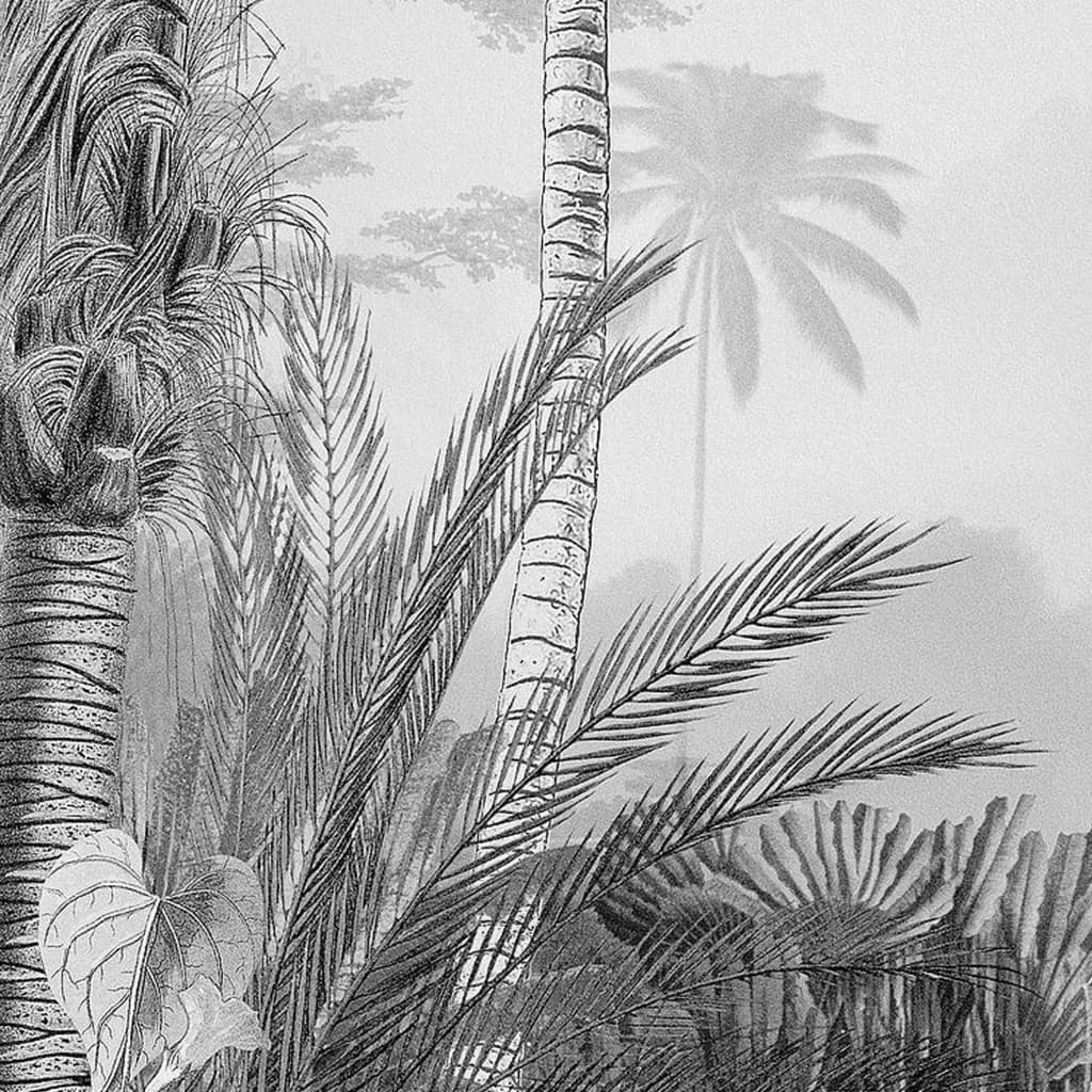 Komar Foto Tapete Lac Tropical Black White 200x270 cm