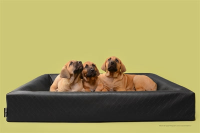 Bia Bett Hundekorb Original quadratisch schwarz